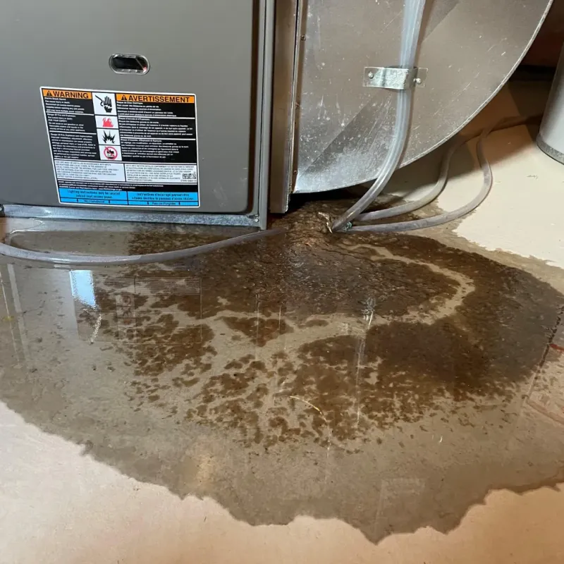 Appliance Leak Cleanup in Shelburn, IN